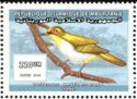 Malagasy White-eye (Zosterops maderaspatana)